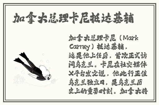 国外b站直播app入口