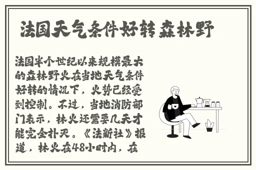仙踪林company大陆的特点